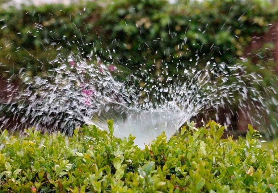 aspersor de chorro echando agua en un jardin.