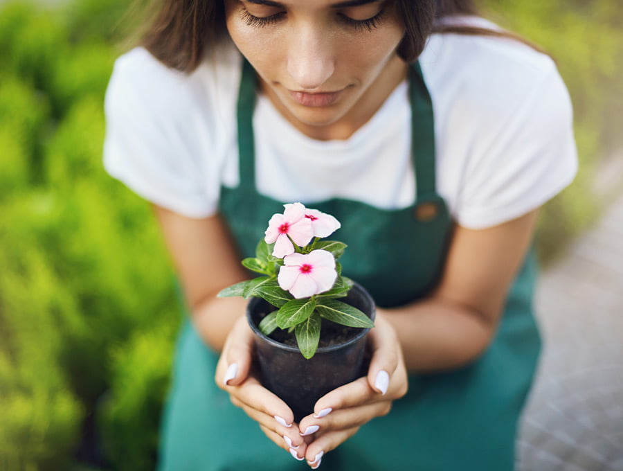 Esta chica está sujetando una maceta negra de plástico con una planta pequeña. Está pensando en qué lugar de la casa la va a poner. La planta tiene flores rosas.