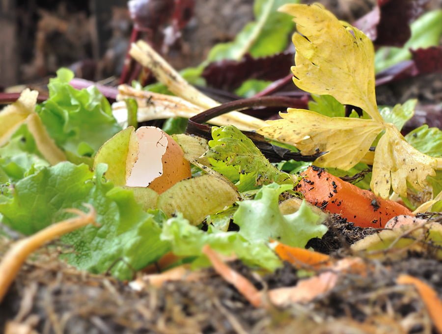 Dentro de este compostador podemos ver restos orgánicos de verduras, peladuras de hortalizas, cáscaras de huevo y algunas hojas. Es para elaborar un compost rico en nutrientes.