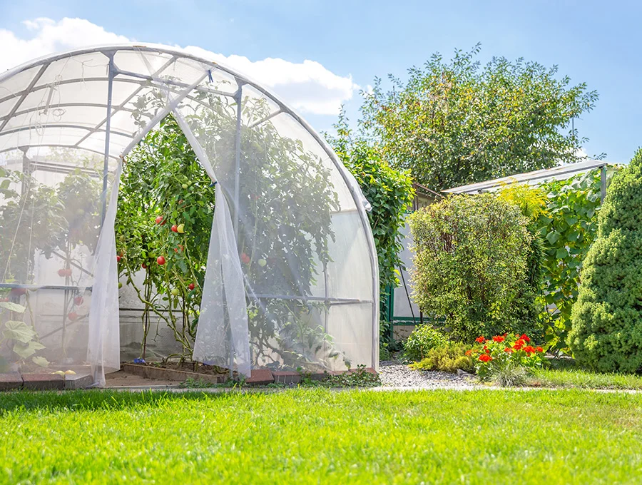 Invernadero de plantas de policarbonato con ventana para invierno, puerta  enrollable con cremallera, jardín, casa verde portátil para plántulas de