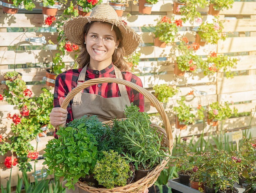 Este mujer sostiene una canasta de mimbre llena de macetas pequeñas con hierbas aromáticas. Está en su jardín, además, tiene un sombrero de paja y un delantal de jardinería.