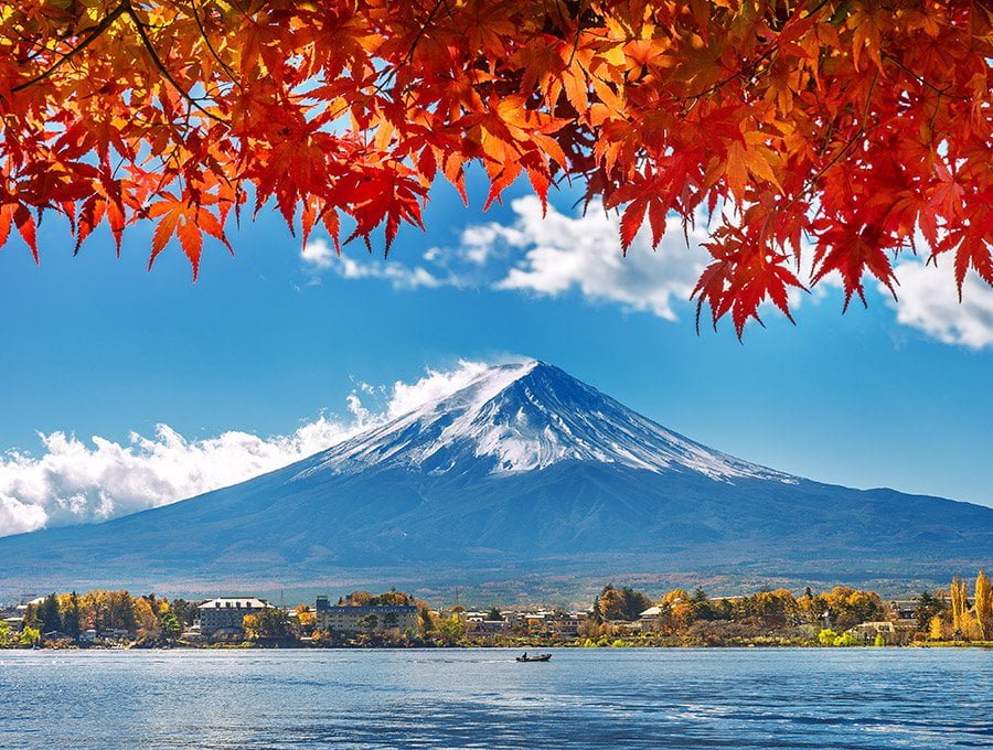 Un arce rojo japonés con el monte fuji al fondo.