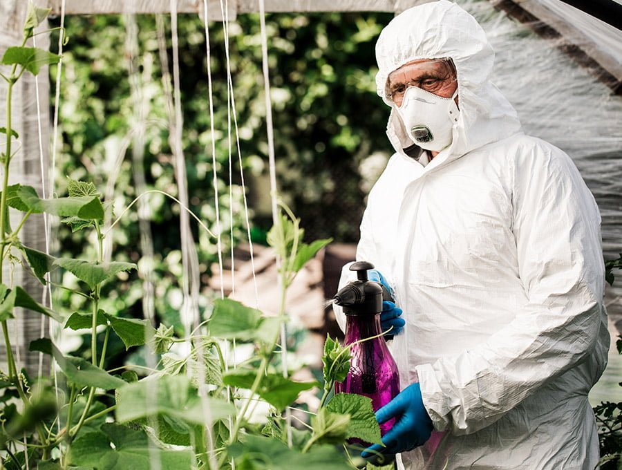Este hombre lleva puesto un traje epi. Está fumigando las plantas para alejar a los insectos dañinos.