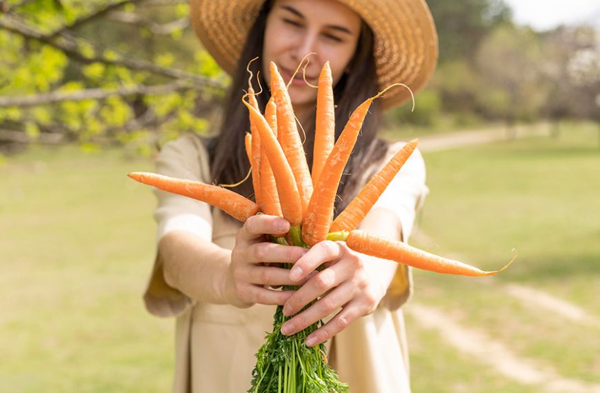 Mujer muestra las zanahorias recién recolectadas del huerto.